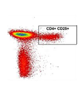 Conventional flow cytometry